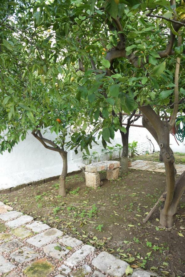 Dimora Le Zagare Apartment ออสตูนี ภายนอก รูปภาพ