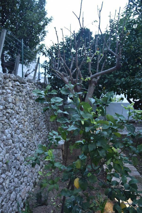 Dimora Le Zagare Apartment ออสตูนี ภายนอก รูปภาพ