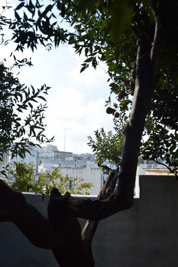 Dimora Le Zagare Apartment ออสตูนี ภายนอก รูปภาพ