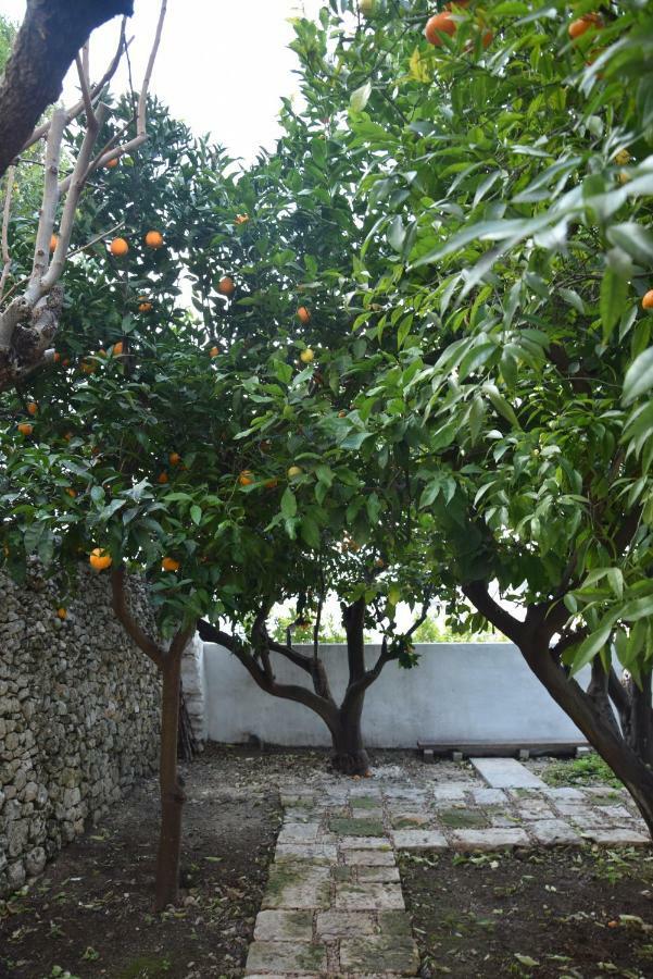 Dimora Le Zagare Apartment ออสตูนี ภายนอก รูปภาพ