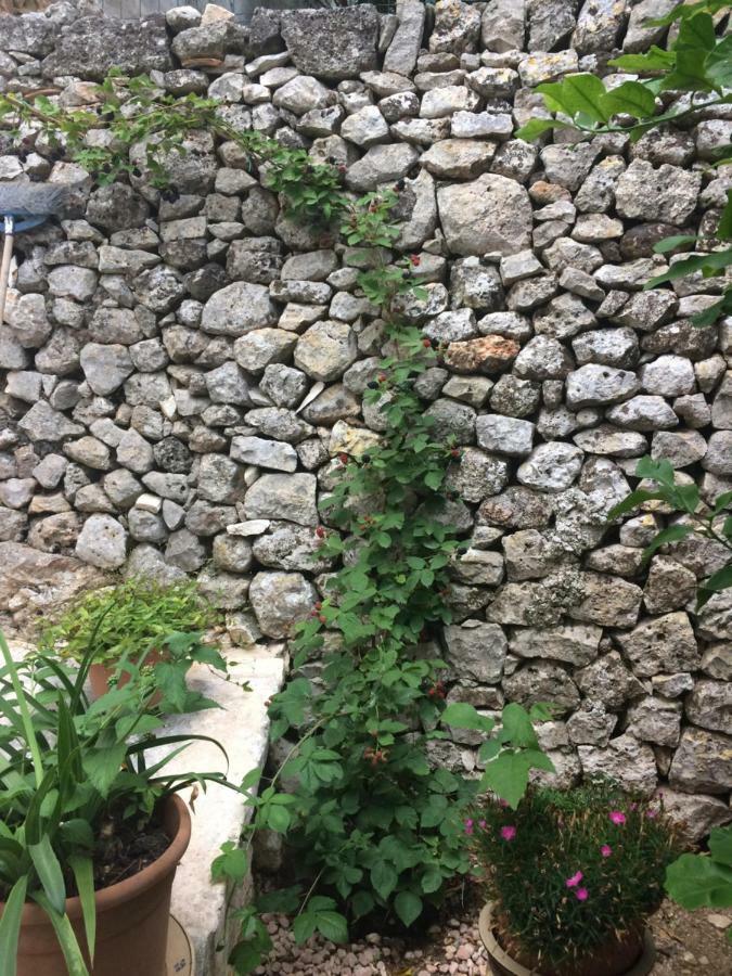 Dimora Le Zagare Apartment ออสตูนี ภายนอก รูปภาพ